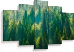 Kép - fenyőerdő (150x105 cm)