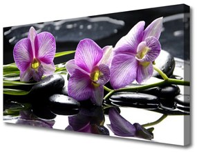 Vászonkép Virág orchidea növény 100x50 cm