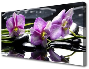 Vászonkép Virág orchidea növény 120x60 cm