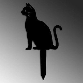 Cat 02