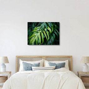 Kép - trópusi levelek (üvegen) (70x50 cm)