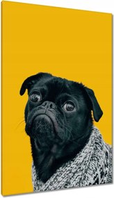 Vászonkép 80x120 Kutya Kutyák