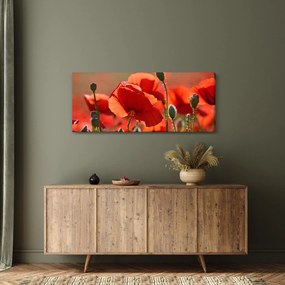 Pipacsok képe (120x50 cm)