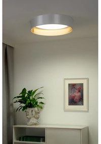Duolla - LED Mennyezeti lámpa ROLLER LED/24W/230V átm. 45 cm ezüst/arany