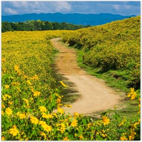 Poszterek 100x100 Falusi tejút