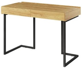 Íróasztal Fresno AG119Fiókos, 76x110x61cm, Szürke, Fényes fa