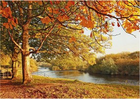 Fotótapéta Flizelin Fal a Hálószobába Őszi tengerpart 312x219 Ragasztó