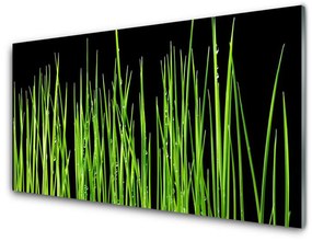 Modern üvegkép fű növény 100x50 cm