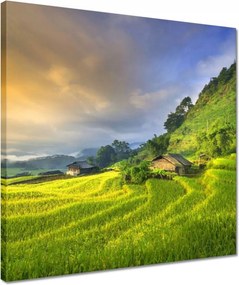 Vászonkép 40x40 Kilátás Tájkép