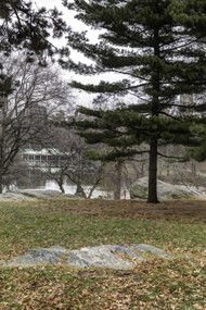 Poszter 40x60cm Central Park, New York, Assaf Frank