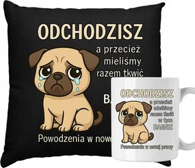 Bögre Párna Búcsú szett Kolléga alkalmazottjának 3