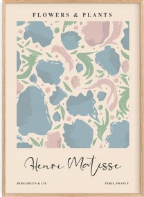 Poszter 30x40 Henri Matisse Flowers & Plants Pasztell kompozíció Paris Art