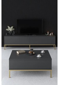 TV szekrény Lord - Anthracite, Gold