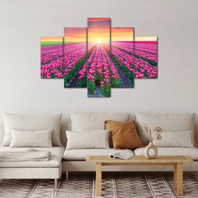 Tulipán mező és a nap képe (150x105 cm)