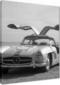 Vászonkép 60x80 Mercedes Gullwing