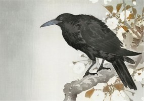 Stílusos Dekoratív Fotótapéta Flizelin Holló virágokkal 312x219 Ragasztó