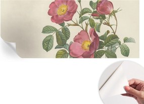 Dekoratív öntapadós fotótapéta Hálószobába Rózsa motívum 250x104 cm