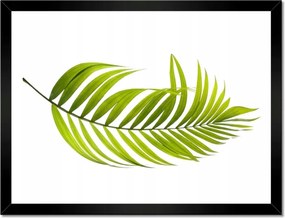 Poszterek keretben 40x30 Zöld levél Minimalizmus
