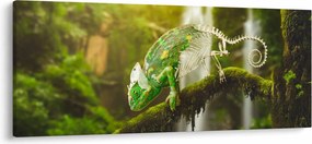 Kaméleon képe (120x50 cm)