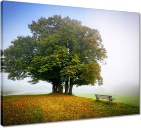 Vászonkép 50x40 Tájkép paddal Fa