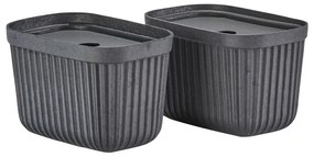 Tárolókosár szett 2 db-os 23x16x20.5 cm Pulp – Zone