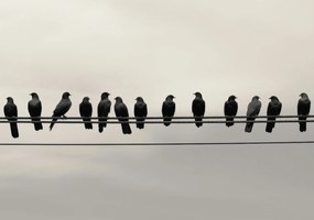 Poszter 66,5x46,5cm Konferencia a MagassĂĄgban