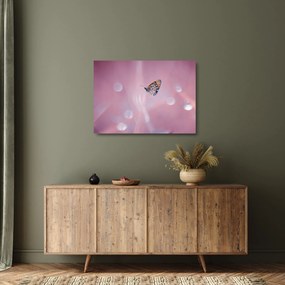 Üveg kép - Pillangó (70x50 cm)
