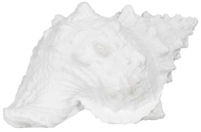 Poligyanta szobor (magasság 12 cm) Seashell – Ixia