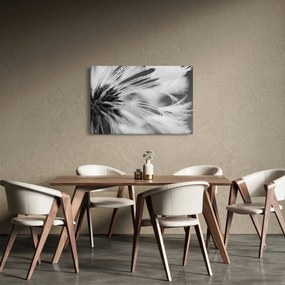 Kép - Makró, fekete-fehér (90x60 cm)