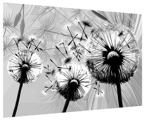 Modern kép -fekete-fehér pitypang (90x60 cm)