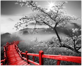 Poszterek 50x40 Virágzó cseresznye Japán