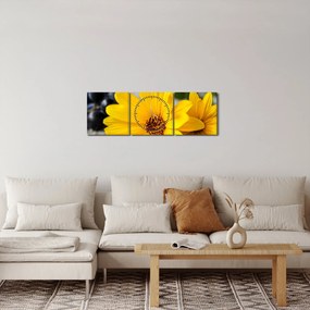 Sárga virág képe (órával) (90x30 cm)