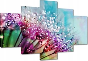 Vászonkép 120x80 Harmatcseppek Pitypang