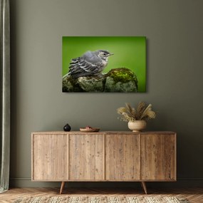 Kép - Légykapó (90x60 cm)