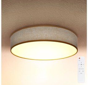 Brilagi Brilagi - LED Dimmelhető mennyezeti lámpa CARMEN LED/48W/230V 3000-6500K + távirányító BG0901