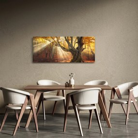 Kép - Őszi fény (120x50 cm)