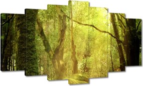 Festmények 140x80 Varázslatos erdő Tájkép