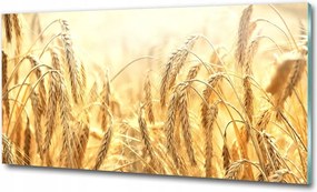 Fotó üvegkép Pitypang magok 125x50