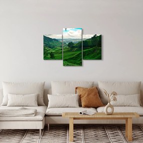 Kép - Teaültetvények Malajziában (90x60 cm)
