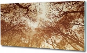 Fotó vászonkép edzett üveg Rózsa 125x50