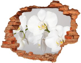 Lyuk 3d fali matrica Orchidea nd-c-133396361