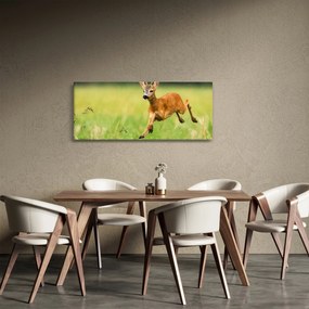 Kép - Őz (120x50 cm)