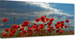 Vászonkép 120x60 Pipacs Virágok