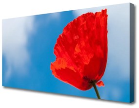 Vászonkép Tulipán Fal 100x50 cm