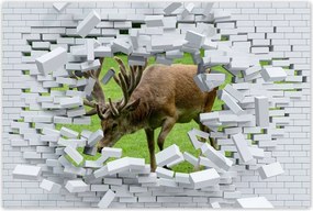 Poszterek 120x80 Szarvas felszarvazott