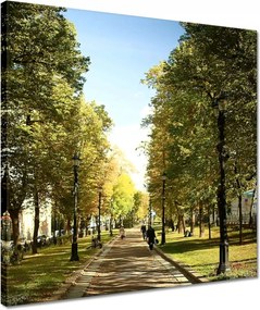 Vászonkép 40x40 Park a nyári időszakban