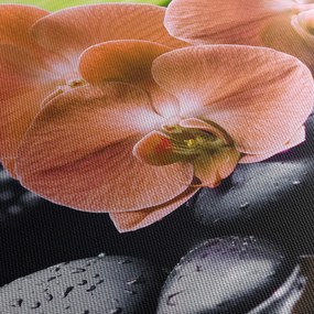 Kép - Narancssárga orchidea pálmalevelekkel (120x50 cm)