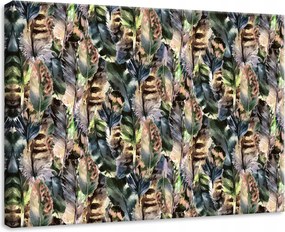 Vászonkép 70x50 Toll színes textúra minta természetes nyugodt puha könnyű