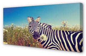 Canvas képek Zebra virágok 140x70 cm