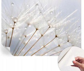 Dekoratív öntapadós fotótapéta Rosa pitypang irodába 312x219 cm